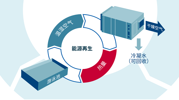 室內(nèi)泳池,室內(nèi)泳池設(shè)備,室內(nèi)恒溫泳池設(shè)計