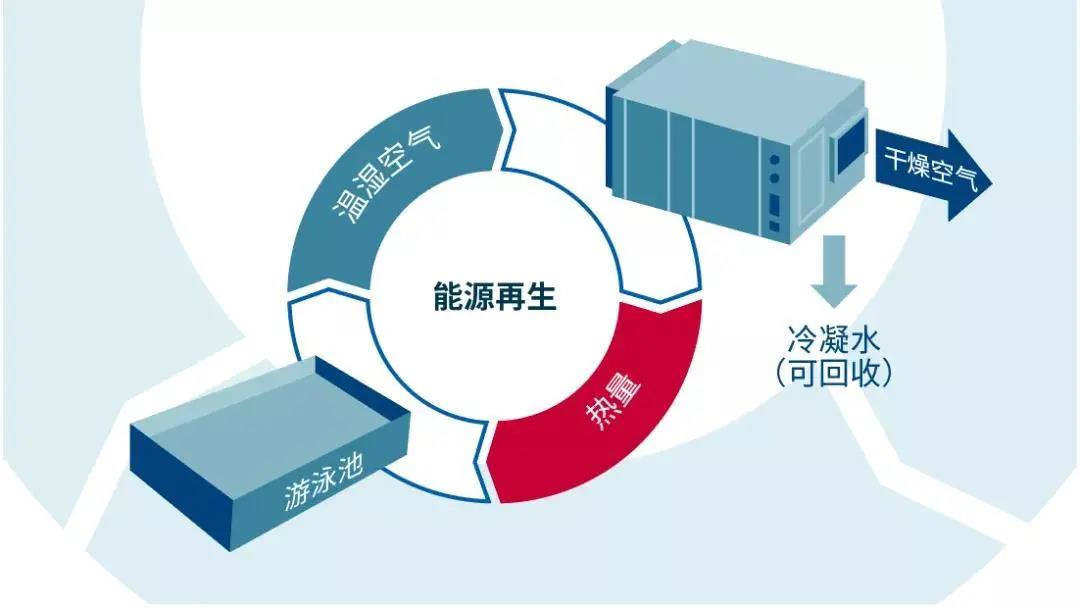 低氯游泳館,無氯游泳池,低氯泳池，低氯系統(tǒng)