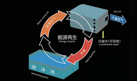 室內(nèi)泳池，室內(nèi)恒溫泳池，室內(nèi)泳池除濕