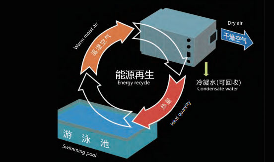 室內(nèi)泳池恒溫除濕機,室內(nèi)恒溫泳池,室內(nèi)泳池除濕機