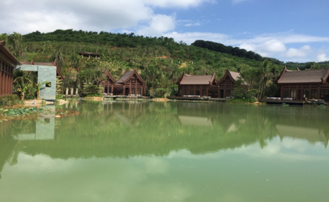 人工湖治理,生態(tài)人工湖治理